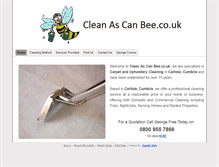 Tablet Screenshot of cleanascanbee.co.uk